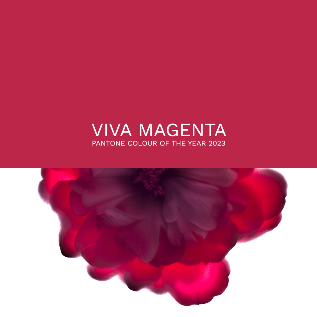 Viva Magenta - Pantone colour of the year 2023