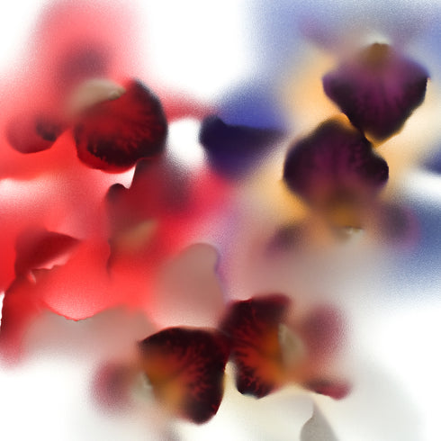 Orchid Trio Flower Art Print