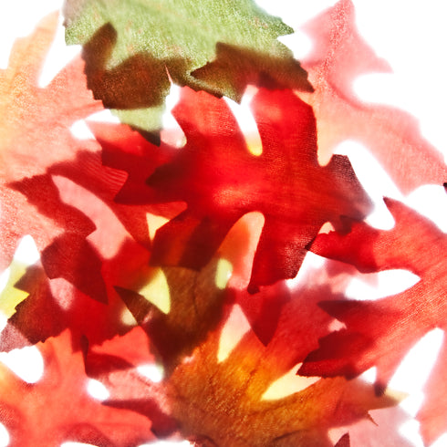 Autumn Leaves I Botanical Art Print