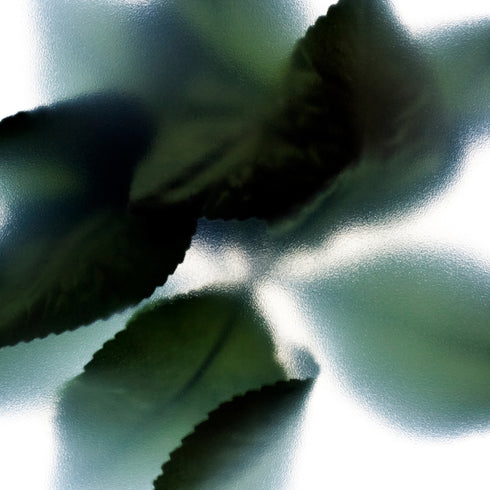 Green Leaves Floral Art Print