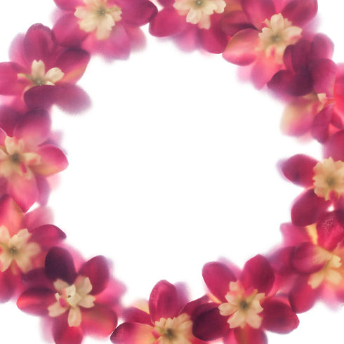 Dark Pink Floral Wreath Art Print