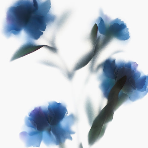 Blue Carnations Floral Art Print
