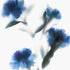 Blue Carnations Floral Art Print