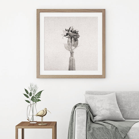 Rose No.3 - Signed Edition Art Print