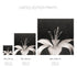 Lilium No.2 - Signed Edition Art Print