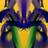 Purple Iris - Signed Edition Art Print