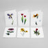 Floral Impressions Card Set I