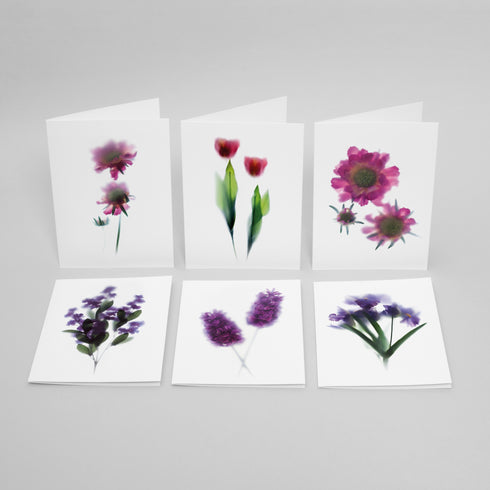 Pink & Purple Floral Card Set