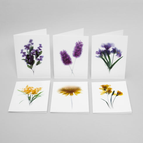 Yellow & Purple Floral Card Set