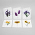 Yellow & Purple Floral Card Set