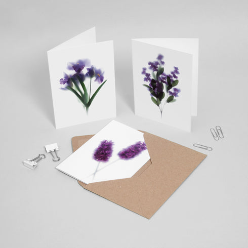 Purple Floral Card Set