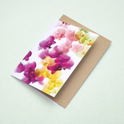 Tropical Orchid Mix Card