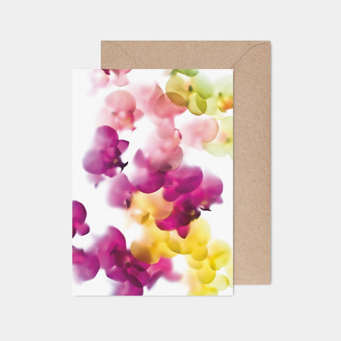 Tropical Orchid Mix Card
