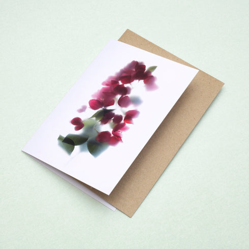 Red bougainvillea Card