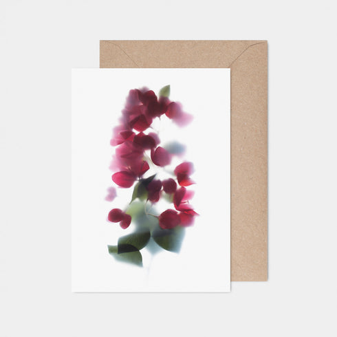 Red bougainvillea Card