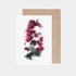 Red bougainvillea Card