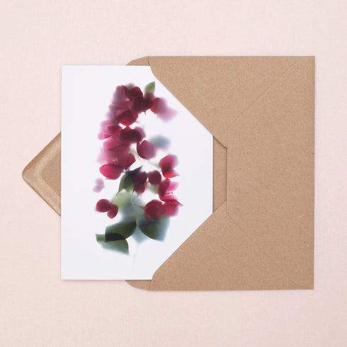 Red bougainvillea Card