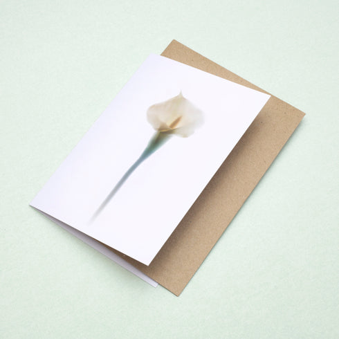 White Calla Lily Card