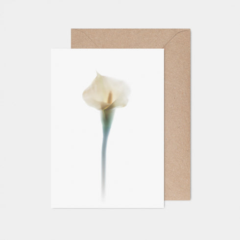 White Calla Lily Card
