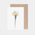 White Calla Lily Card