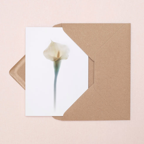 White Calla Lily Card