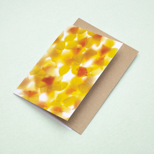 Yellow Daffodils Floral Greeting Card