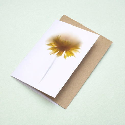 Yellow Floral Card Set