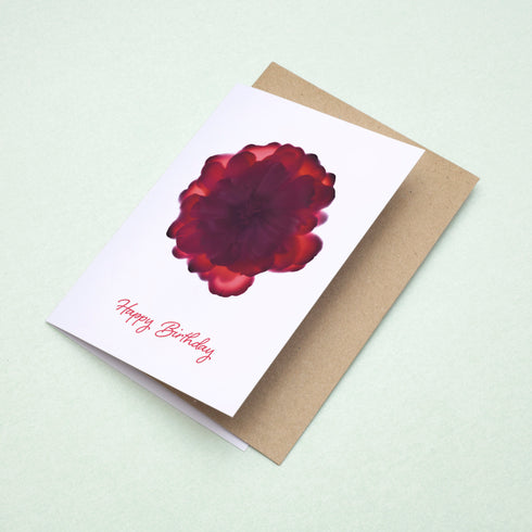 Dark Pink Rose Birthday Card