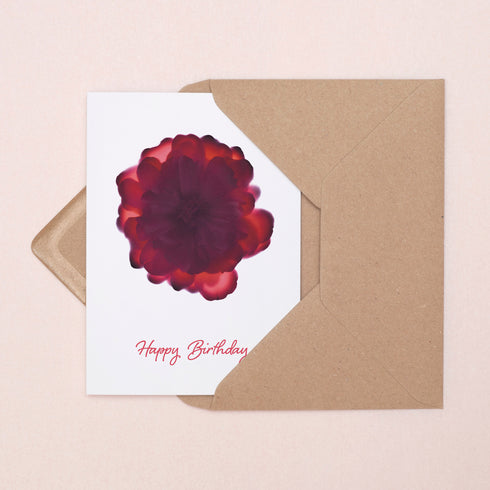 Dark Pink Rose Birthday Card
