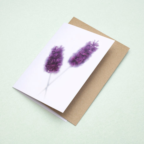 Purple Hyacinth Stems Card