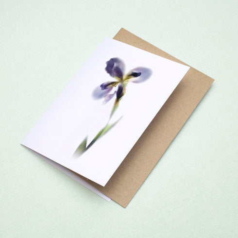 Purple Iris Stem Greeting Card