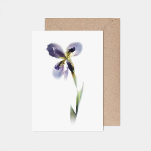 Purple Iris Stem Greeting Card