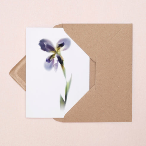 Purple Iris Stem Greeting Card