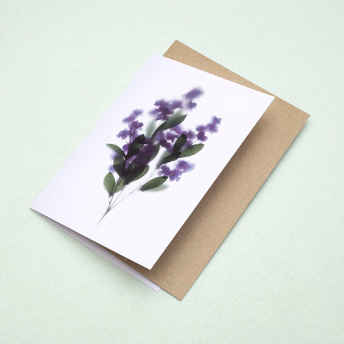 Purple Lilacs Card