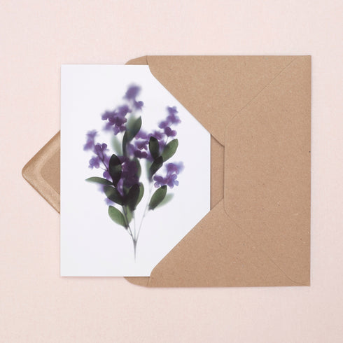 Purple Lilacs Card