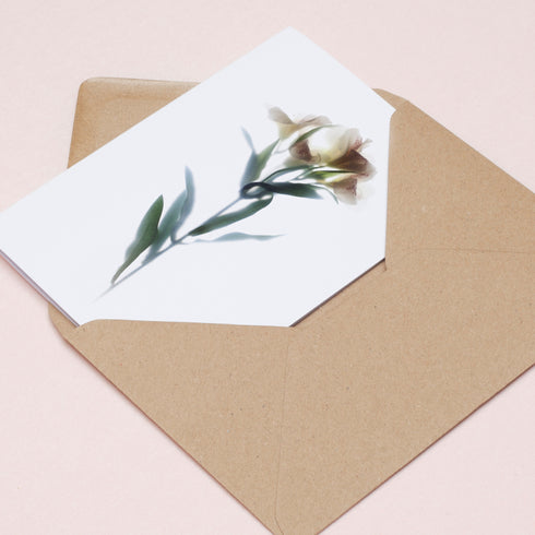 Floral Impressions Card Set II
