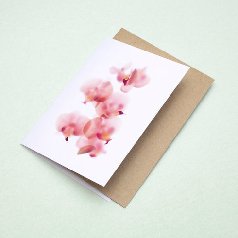 Baby Pink Orchids Note Card