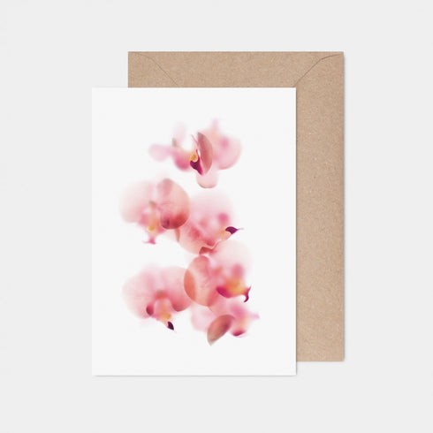Baby Pink Orchids Note Card