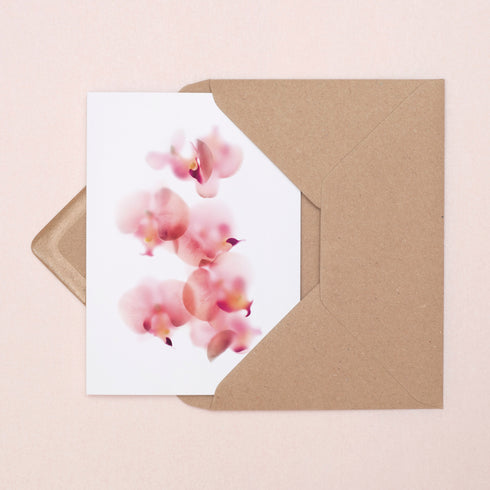 Baby Pink Orchids Note Card