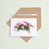 Pink Blooms Greeting Card