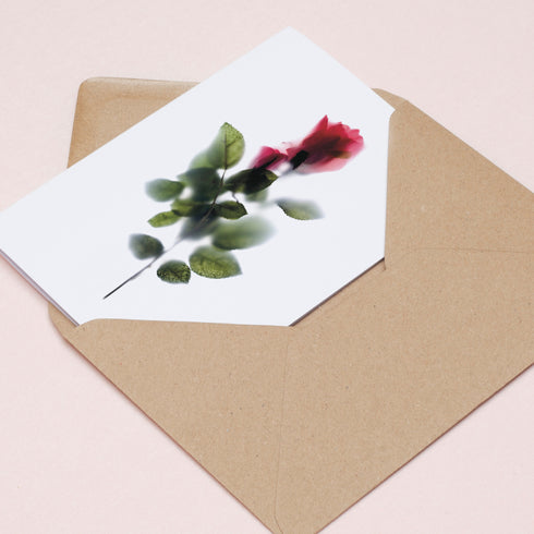 Floral Impressions Card Set I