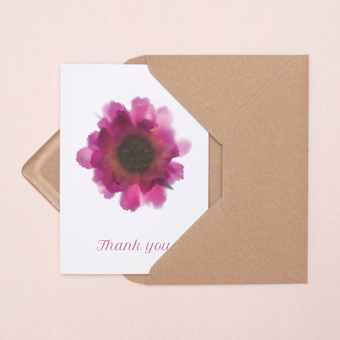 Pink Scabiosa Thank you Card
