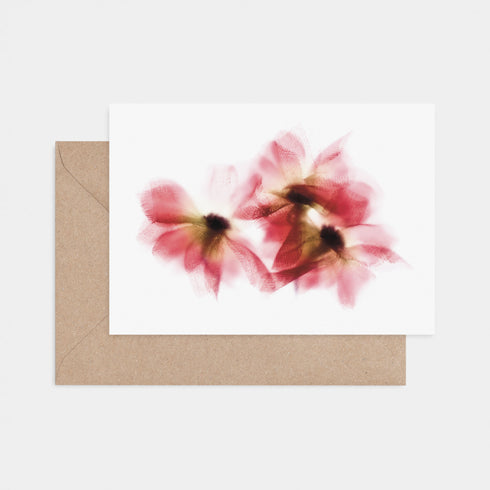 Red Daisies Card