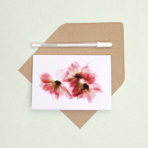 Red Daisies Card