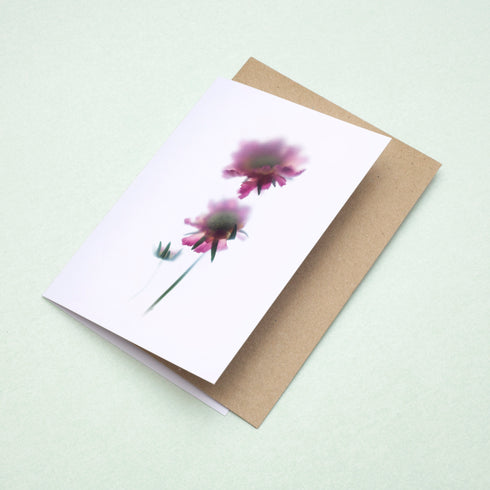 Pink Scabiosa Stems Card
