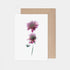Pink Scabiosa Stems Card