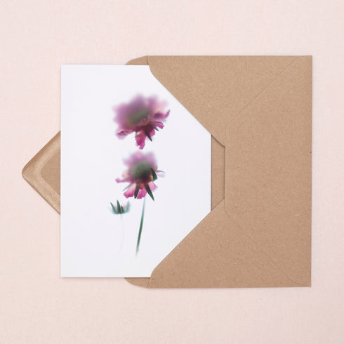 Pink Scabiosa Stems Card