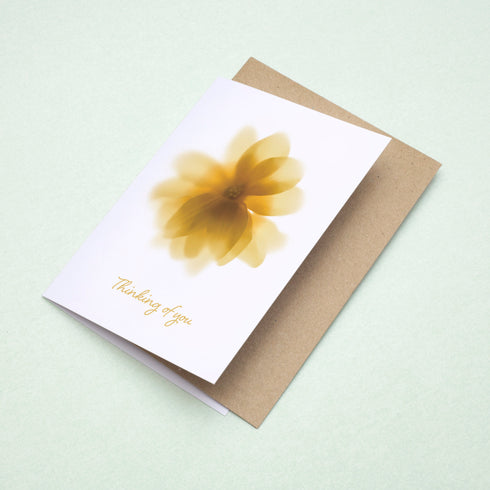 Yellow Daisy Thinking of You Card