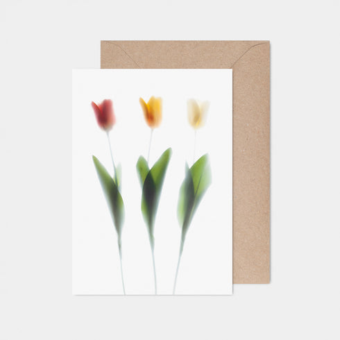 Tulip Trio Floral Greeting Card