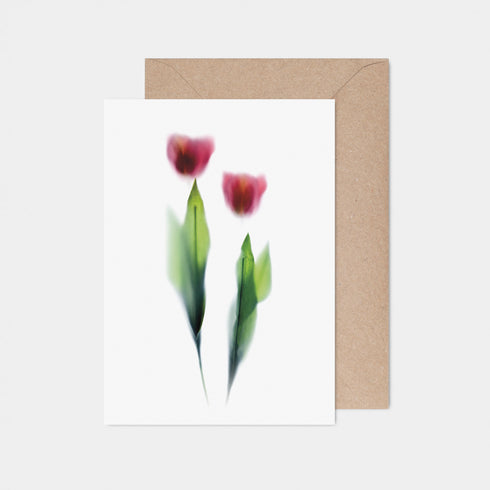 Pink Tulips Greeting Card